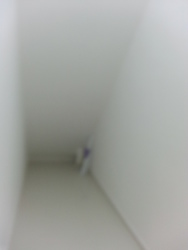 Paya Lebar Crescent (D19), Terrace #174035372